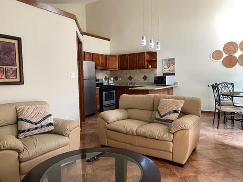 Kitchen or kitchenette, Living room, Seating area, oven, stove