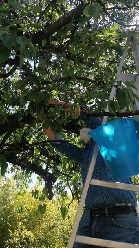 Agriturismo Macchiapiede Bed and Breakfast in Basilicata