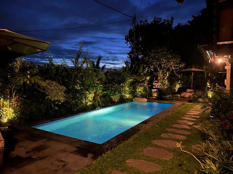 Night, Pool view, Swimming pool, sunbed