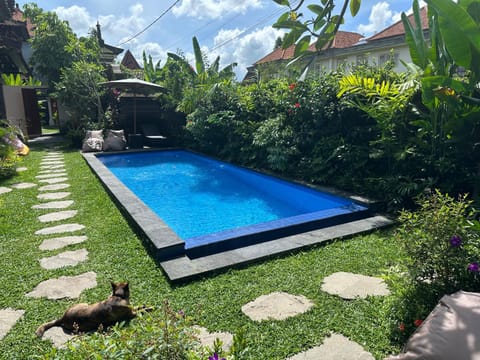 Day, Garden, Garden view, Swimming pool, sunbed