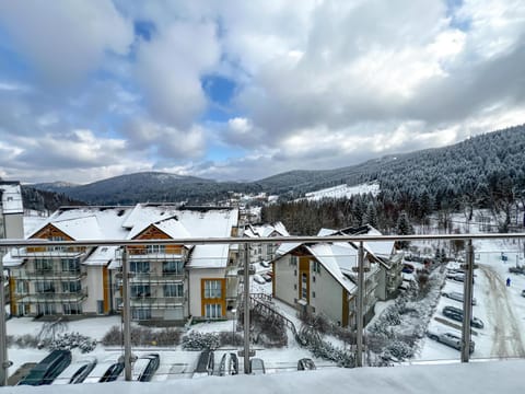 Natural landscape, Winter, Mountain view