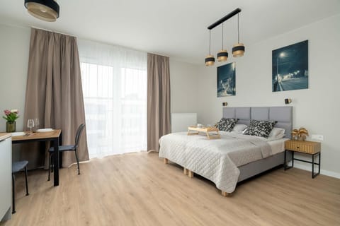 Bed, Living room, Photo of the whole room, Seating area, Bedroom