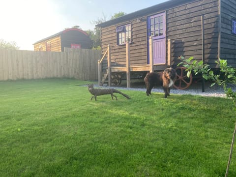 Fox lodge Shepherd Hut Sidmouth Campground/ 
RV Resort in Sidmouth