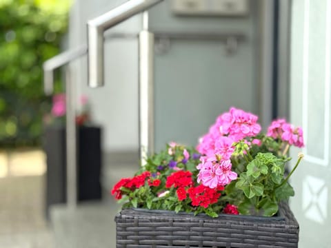 Haus Bernhardt Apartment in Langenargen