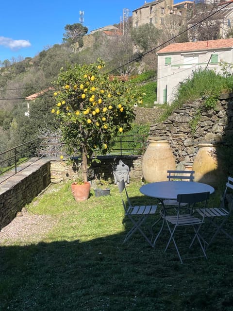 Natural landscape, Garden, Dining area, Garden view, Mountain view
