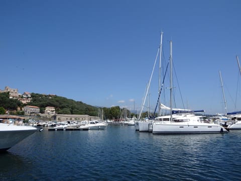 Snorkeling, Sports