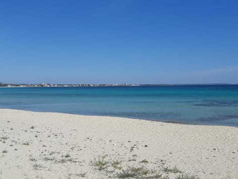 Natural landscape, Beach