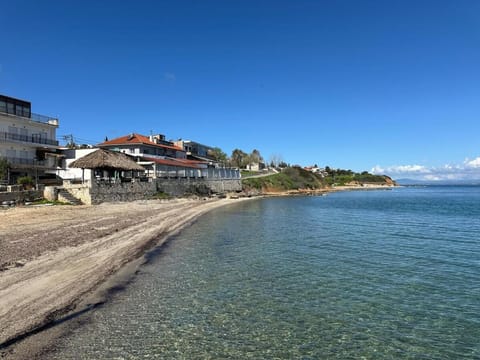 Exclusive new villa with private pool - 2BR Villa in Halkidiki