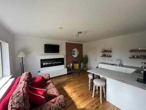 TV and multimedia, Kitchen or kitchenette, Living room, Photo of the whole room