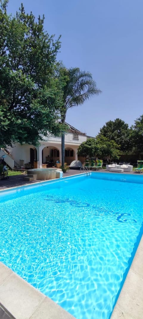 Day, Pool view, Swimming pool, sunbed