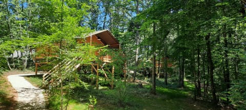 Natural landscape