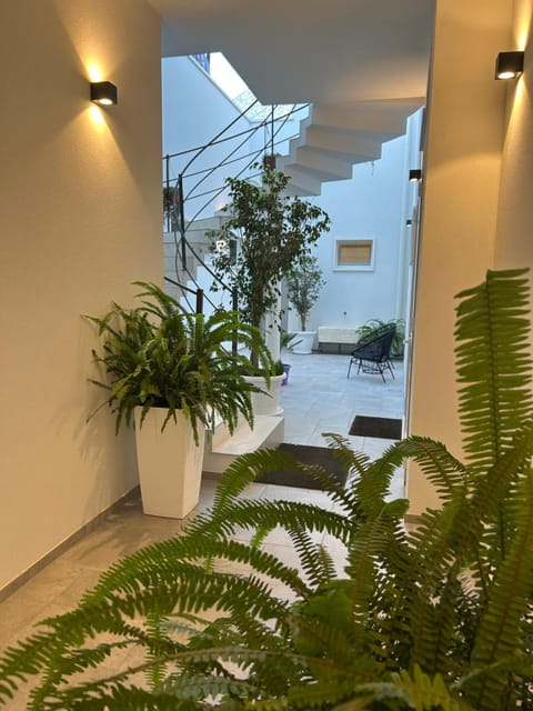 Garden, Inner courtyard view