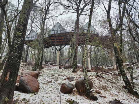 Cabaña Boreal, Punta del Bosque Chalet in Hidalgo, Mexico