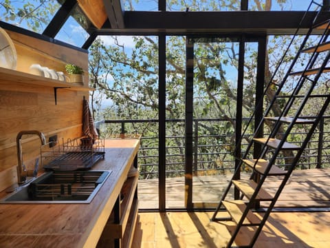 Cabaña Boreal, Punta del Bosque Chalet in Hidalgo, Mexico