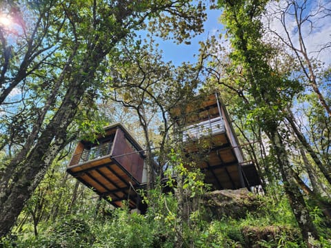 Casa Estudio UMMA, Punta del Bosque Villa in Hidalgo, Mexico