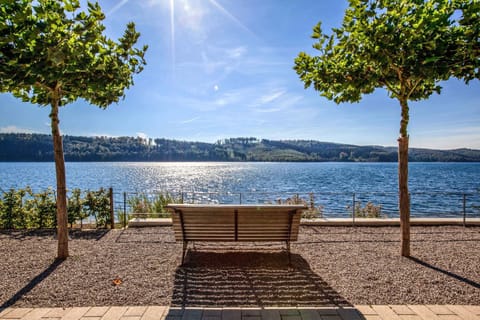 Lake view