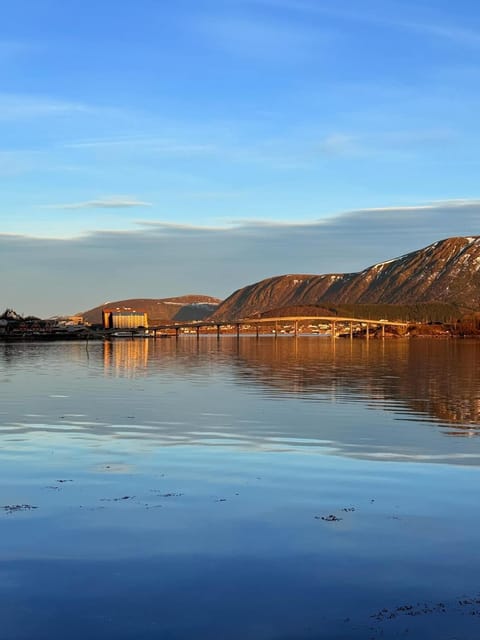 Apartment with sea view Apartment in Nordland, Norway