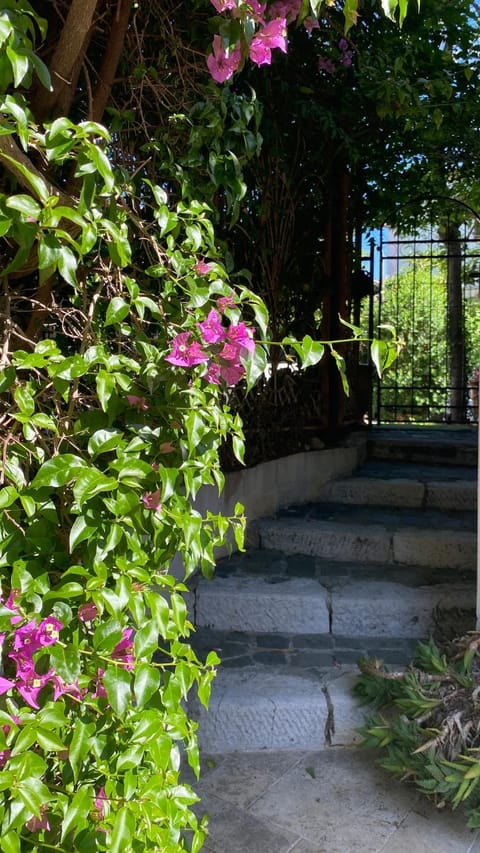 Garden, acessibility