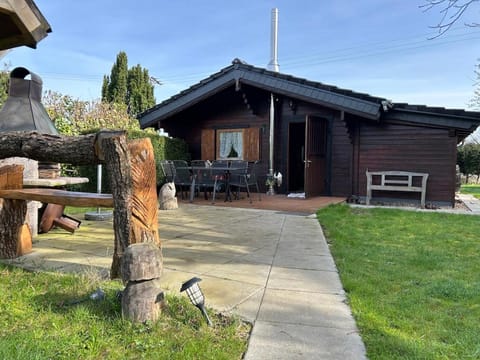 Property building, Spring, Day, Garden