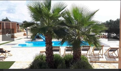 Patio, Day, Garden, Pool view, Swimming pool, sunbed