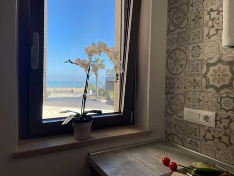 Natural landscape, Kitchen or kitchenette, Sea view, kitchen