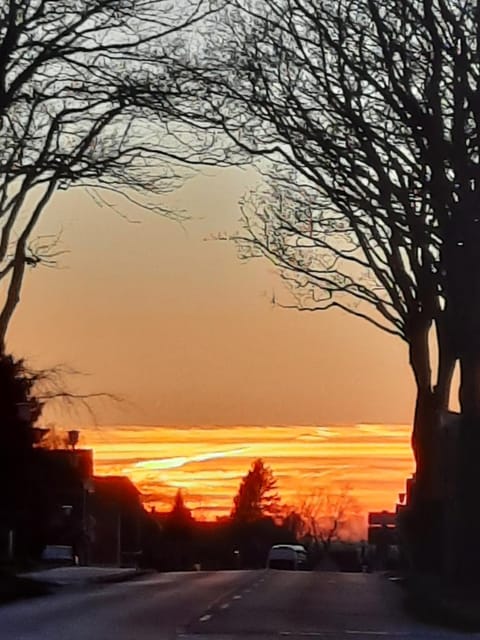 Natural landscape, Sunset