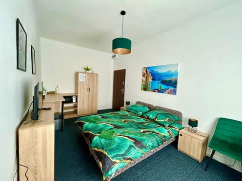 Bed, TV and multimedia, Kitchen or kitchenette, Photo of the whole room, Bedroom, wardrobe