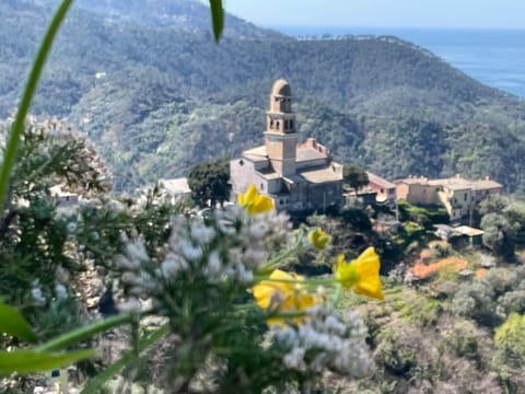 Terrazza Dolce Vita House in Levanto