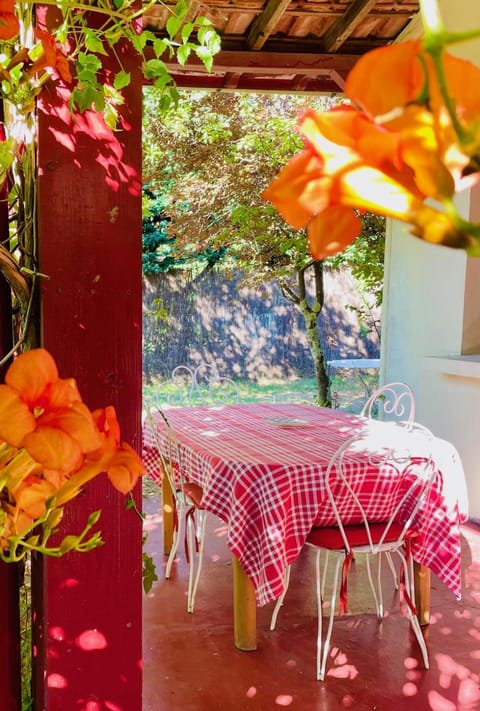 Patio, Garden, Garden view
