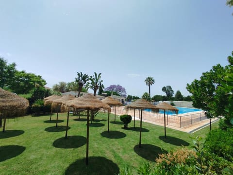 Day, Garden, Garden view, Pool view, Swimming pool