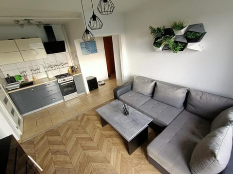 Kitchen or kitchenette, Living room, Dining area