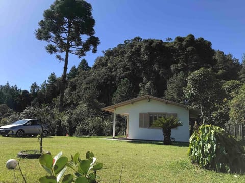 Natural landscape, Garden, Parking