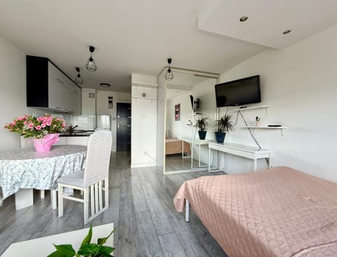 Bed, TV and multimedia, Kitchen or kitchenette, Living room, Photo of the whole room, Seating area, Dining area, Evening entertainment, Bedroom