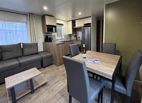 Kitchen or kitchenette, Living room, Seating area, Dining area, dishwasher, oven, stove