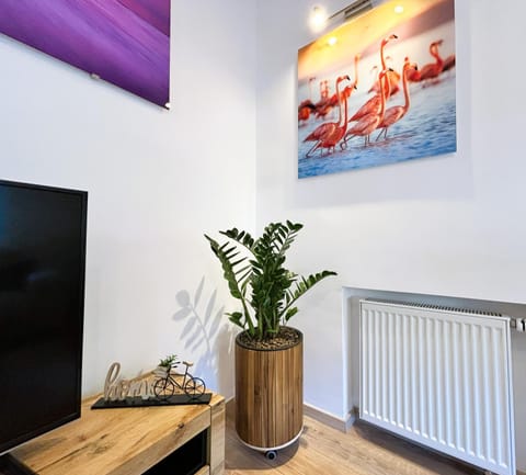 TV and multimedia, Photo of the whole room, Decorative detail, internet