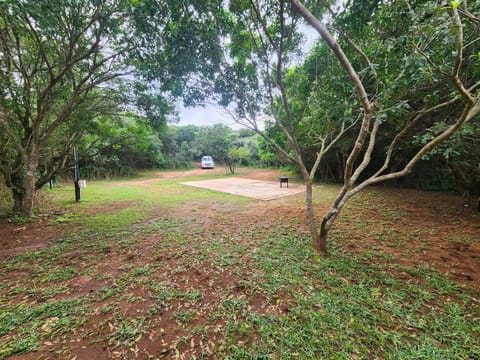 Natural landscape