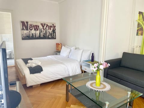 6 minutes walking from Lausanne railway station Apartment in Lausanne