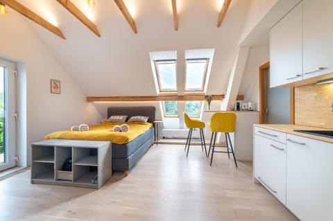 Bed, Kitchen or kitchenette, Dining area, Bedroom