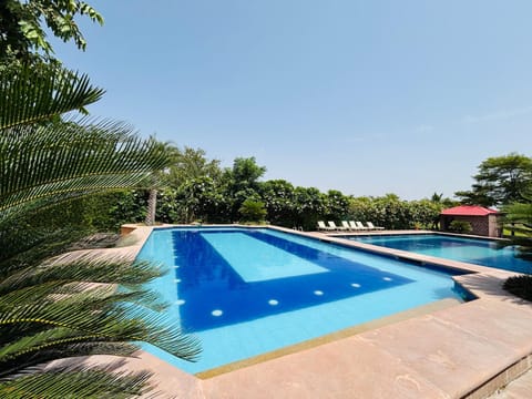 Pool view, Swimming pool