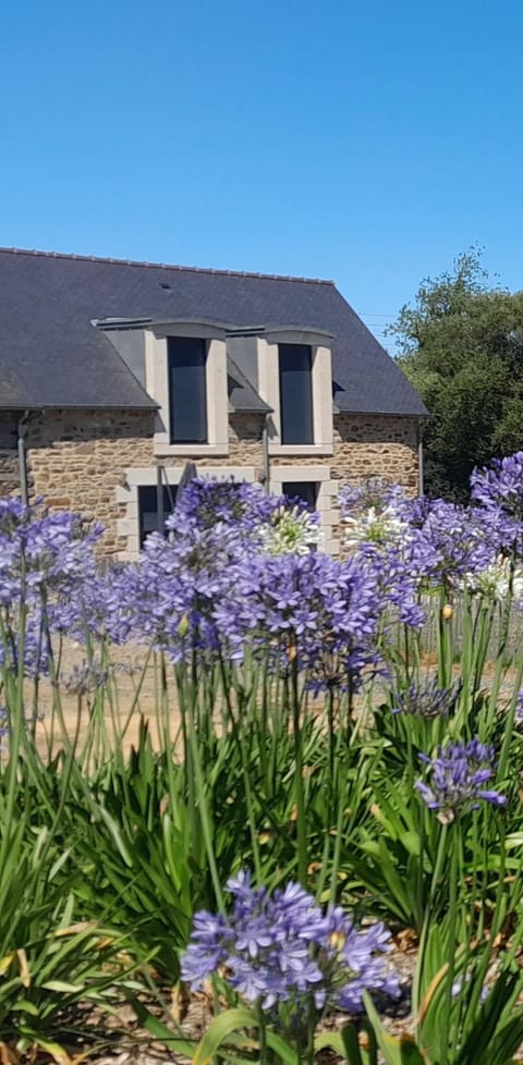 Property building, Garden view