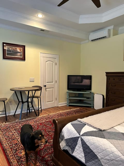 pet friendly, private, spacious and ready for you! Vacation rental in James Island