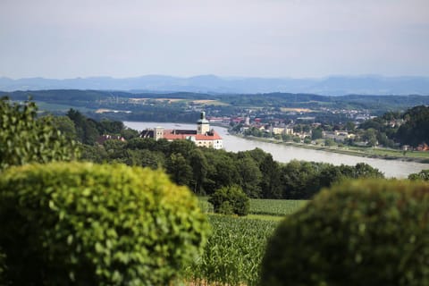 Natural landscape