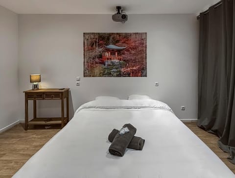 T2 Lumineux N1 avec Jacuzzi Apartment in Hauts-de-France