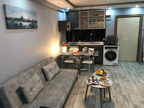 Coffee/tea facilities, Kitchen or kitchenette, Living room, Food and drinks, Seating area, Dining area, Food, Drinks, minibar, oven, pet friendly, toaster, washing machine, dryer