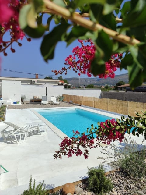 Day, Pool view, Swimming pool, sunbed