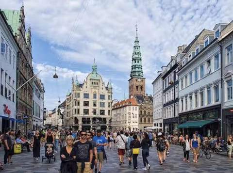 Cozy Copenhagen Center Apartment in Copenhagen