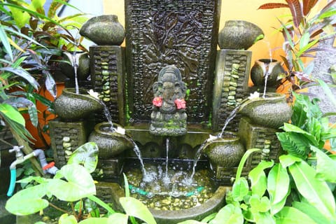 Natural landscape, Garden