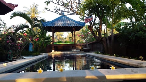 Swimming pool, Swimming pool