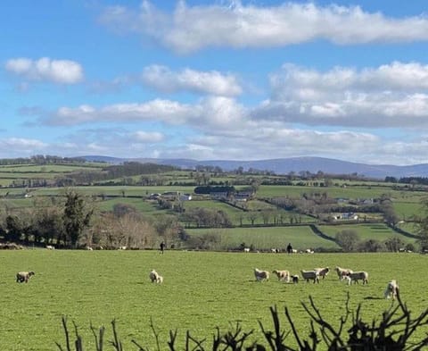 Romantic Hot Tub Retreat with Bar & Tapas Restaurant on-site Apartment in Wicklow, Co. Wicklow, Ireland