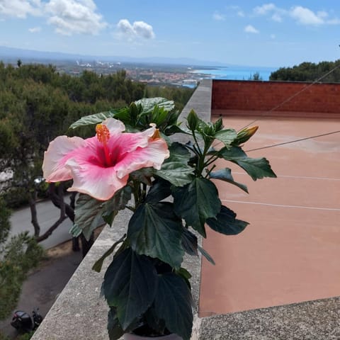 View (from property/room), Balcony/Terrace